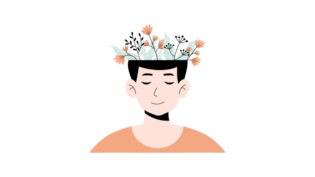 portada de cabecera sitio 13